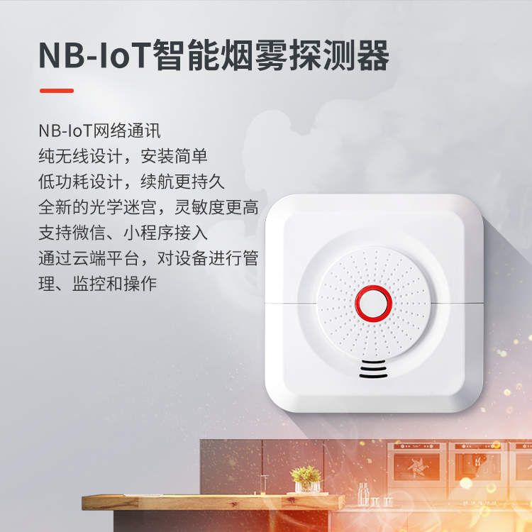 艾禮安消防報(bào)警探測(cè)器系列