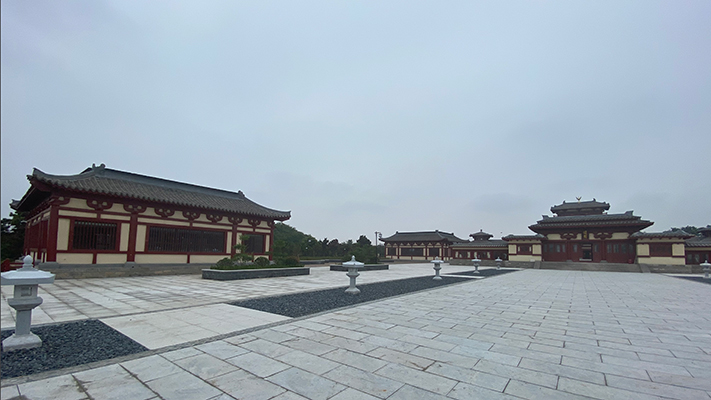 洛陽古代藝術(shù)博物館|紅外探測器